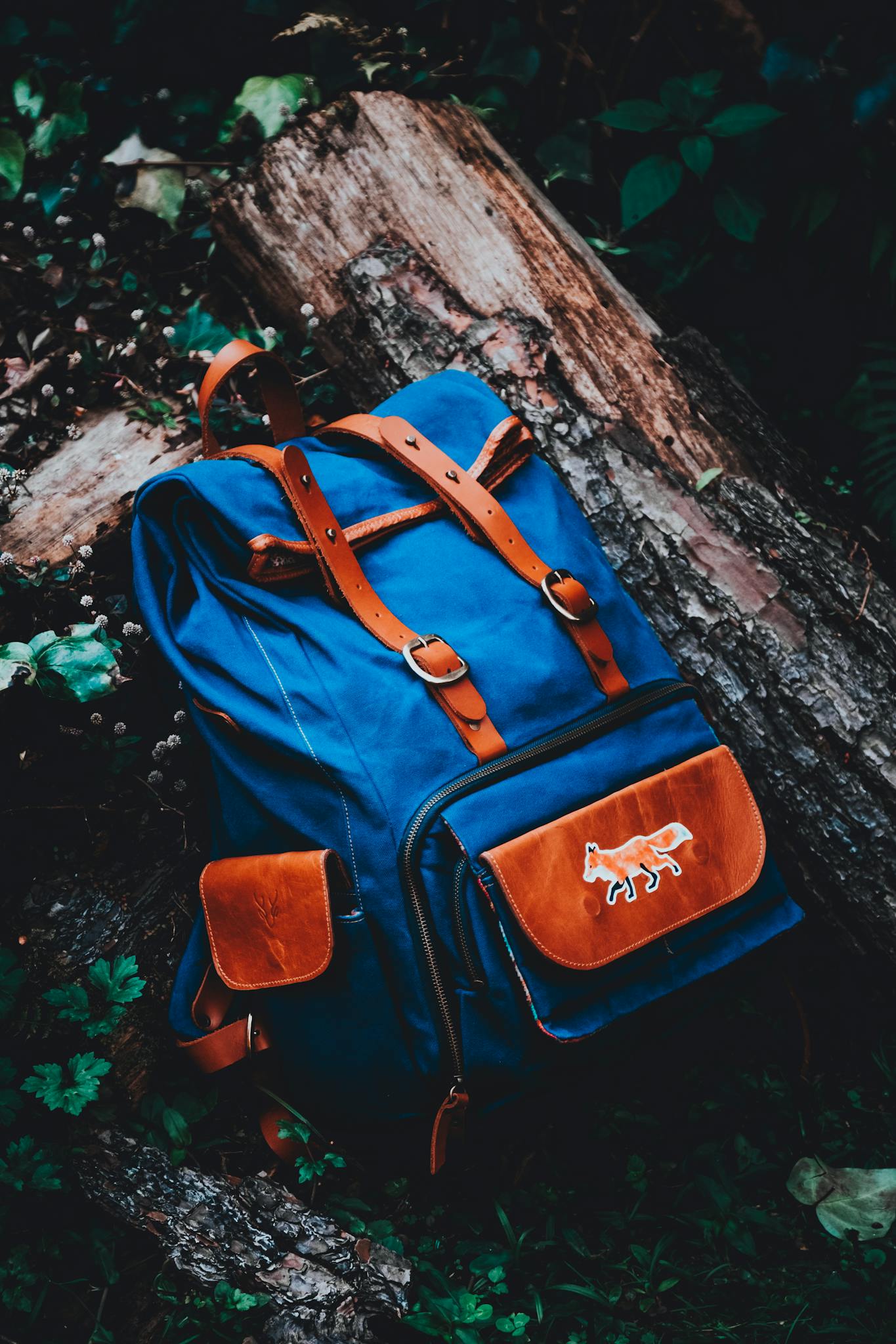 Blue and brown backpack on a log in São Paulo's forest, ideal for adventure.