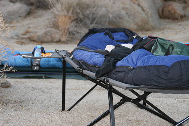 Sleeping under the stars in anza borrego state park
